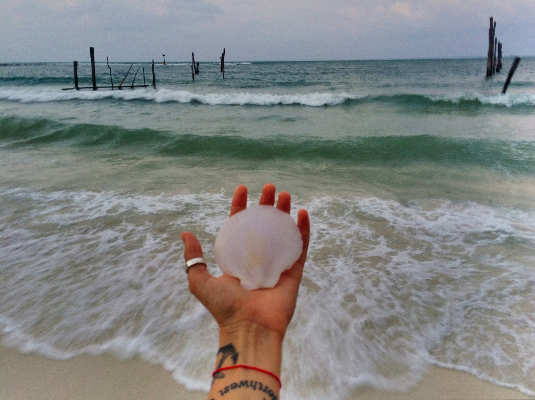 A hand holds a pale shell towards a washed-out sea